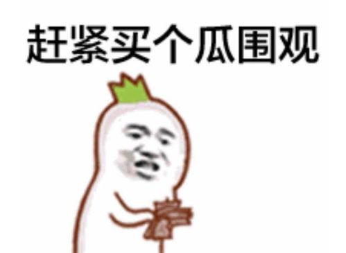 吃瓜群众小熊猫视频,揭秘娱乐圈幕后故事