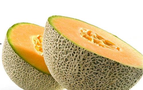 猪鼻龟会吃哈密瓜吗视频,一场奇妙的味蕾之旅