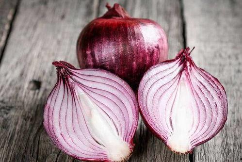 洋葱吃瓜视频教程