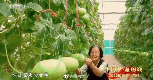 吃瓜中国入口是真的吗视频,视频真实性深度剖析