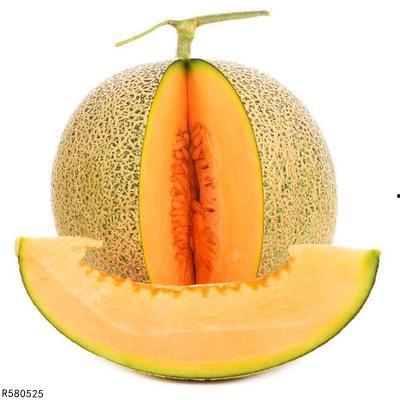 蚊子会吃哈密瓜吗视频讲解,揭秘昆虫的饮食习惯