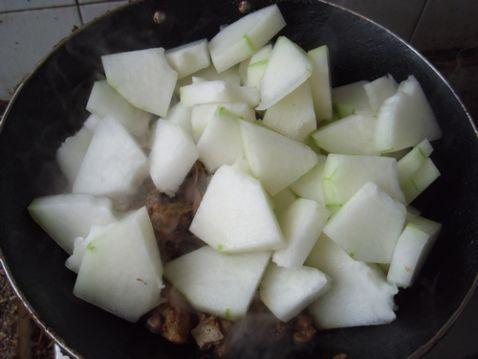 烂瓜可以给鸡吃嘛视频大全,烂瓜变宝，鸡儿美食大揭秘视频合集