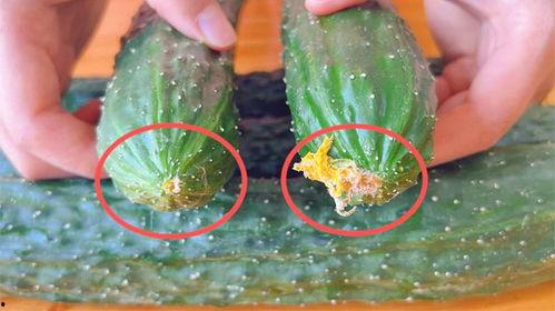 吃瓜看视频素材在哪里找,吃瓜看视频素材的宝藏之地