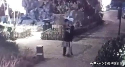 荣成吃瓜事件视频完整版,揭秘视频完整版背后的惊人真相