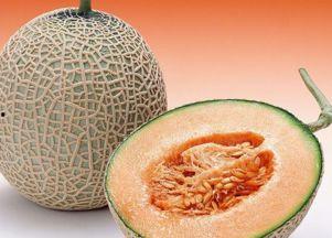 哈密瓜黄皮推荐吃吗视频,揭秘美味背后的营养秘密，推荐必尝佳品