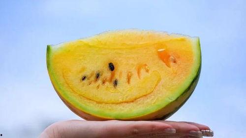 云南吃瓜韩婧格视频,带你领略云南特色美食的魅力