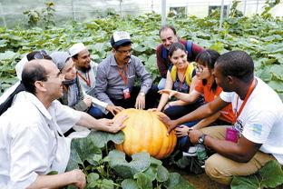 安徽长丰县吃瓜事件视频,一场引发热议的网络视频风波