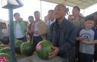 海阳吃瓜群众事件视频,一场网络舆论的风暴与反思