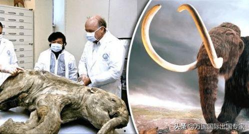 科学家吃瓜群众视频