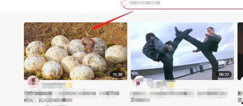 吃瓜冷饭的视频大全下载,精彩瞬间一网打尽！