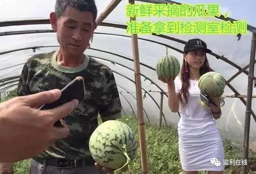 莒南吃瓜群众视频直播,带你领略乡村生活百态