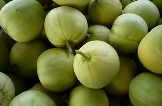 甜瓜大队吃瓜视频,欢乐时光，趣味横生