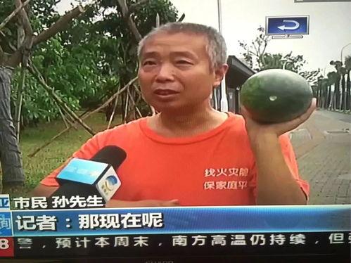 临海最新吃瓜事件新闻视频,揭秘网络热议背后的真相