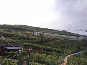 岚山摄影吃瓜事件视频