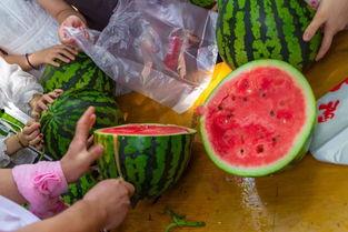 潮州彩塘吃瓜视频,一场别开生面的吃瓜盛宴