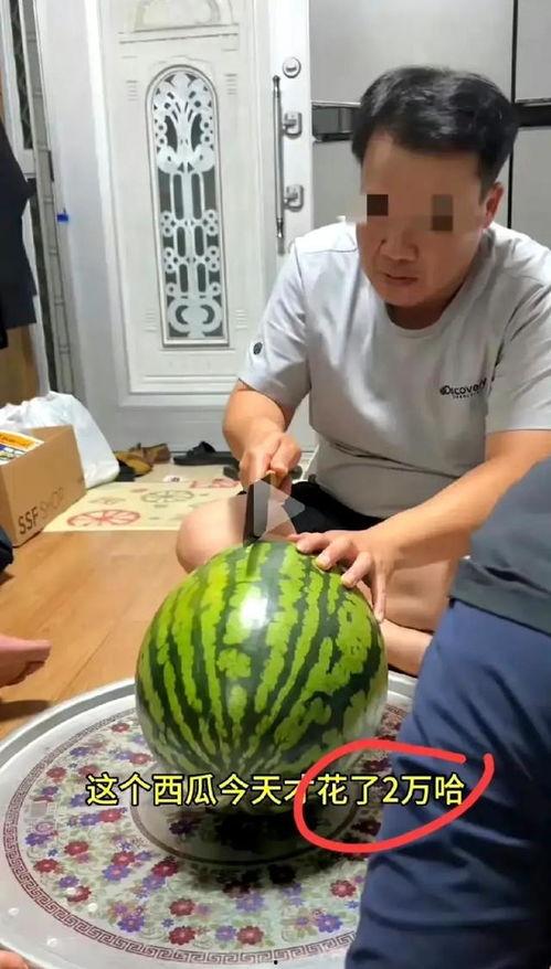 吃瓜是用什么做的视频,吃瓜达人必备！自制美味吃瓜秘籍大公开