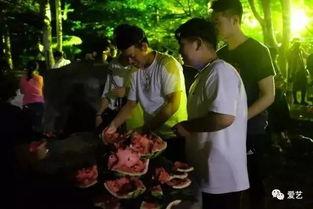 寿光司仪吃瓜事件视频完整版,一场网络狂欢背后的真相揭秘