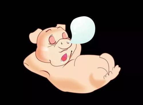 小胖娃吃大瓜的故事视频,趣味横生的美食冒险记