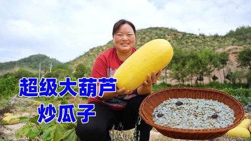 挖籽的茭瓜可以吃吗视频,茭瓜挖籽后的食用奥秘揭秘
