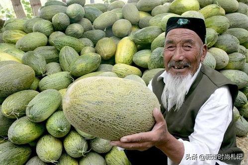 新疆农民吃哈密瓜视频,哈密瓜视频展现甜蜜生活