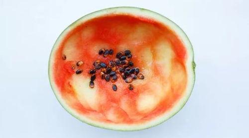 新买的勺子吃瓜视频,解锁夏日清凉新姿势！