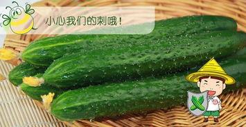 吃瓜六个视频大全