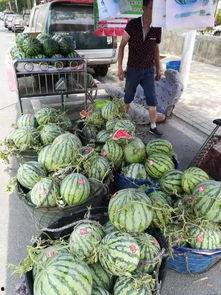 东营垦利吃瓜事件视频最新,一场引发热议的街头冲突瞬间